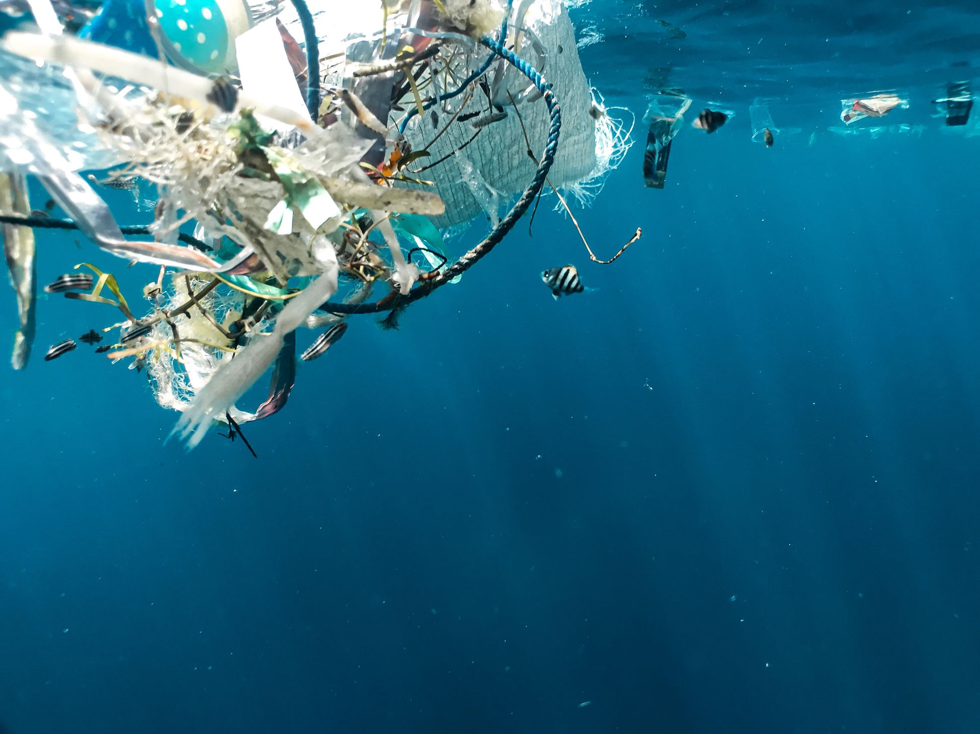 The image depicts an underwater scene where various pieces of floating debris and marine litter are visible near the surface of the ocean. Amidst the tangled mess of ropes, plastics, and other waste materials, a small fish swims nearby, highlighting the impact of pollution on marine life.